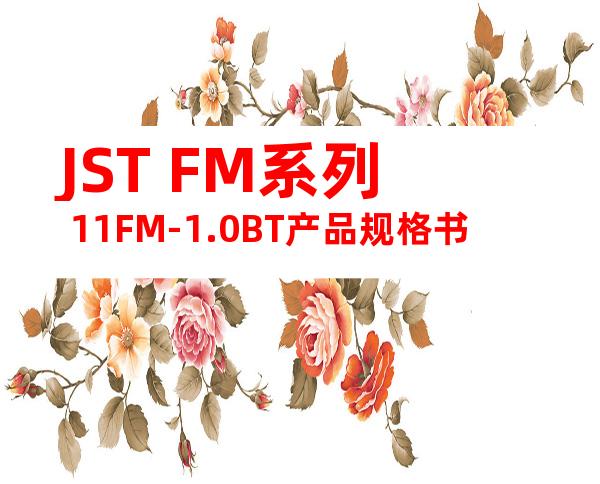 JST FM系列 11FM-1.0BT产品规格书